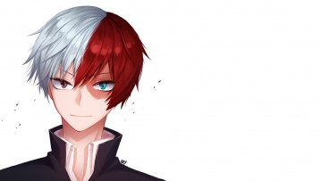 Картинка аниме boku+no+hero+academia тодороки