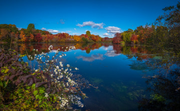 Картинка природа реки озера простор