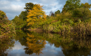 Картинка природа реки озера простор