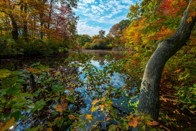 Обои картинки фото природа, реки, озера, простор