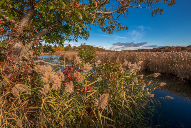 Обои картинки фото природа, реки, озера, простор