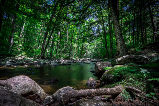 Обои картинки фото природа, реки, озера, река, лес