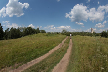 Картинка природа дороги дорога лес деревья