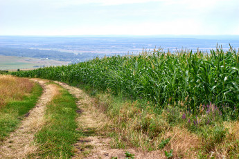 Картинка природа дороги простор