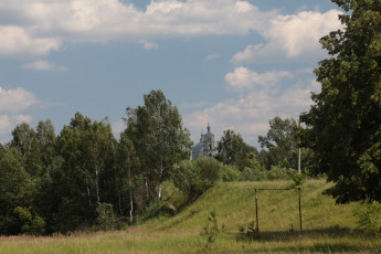 Картинка природа лес деревья