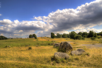 Картинка природа поля простор