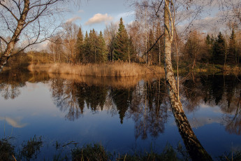 Картинка природа реки озера простор