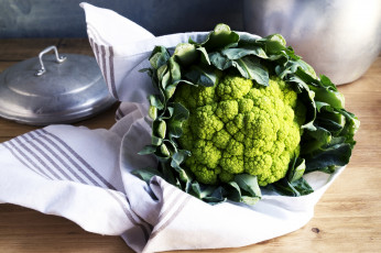 Картинка еда капуста+и+её+разновидности снедь