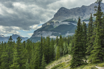 Картинка природа горы простор