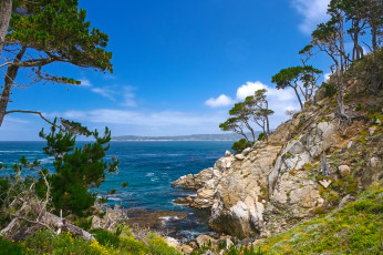 Картинка природа побережье простор