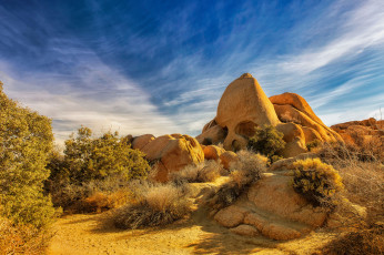 Картинка природа пустыни простор