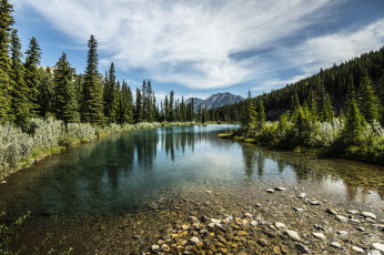 Картинка природа реки озера простор