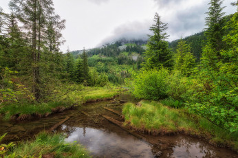 Картинка природа реки озера простор