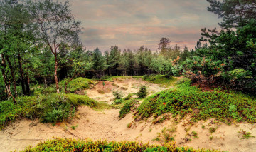 Картинка природа пейзажи простор