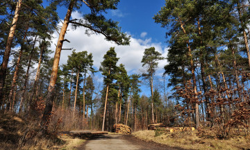 Картинка природа дороги простор