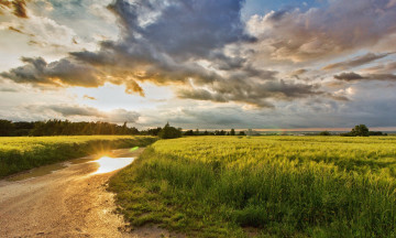 Картинка природа пейзажи простор