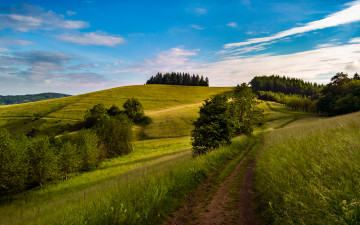 Картинка природа дороги простор