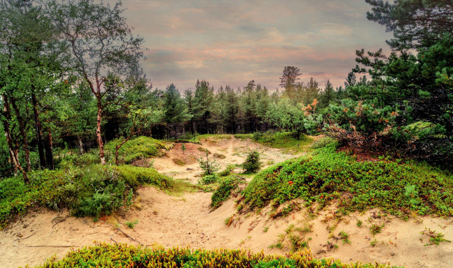 Обои картинки фото природа, пейзажи, простор