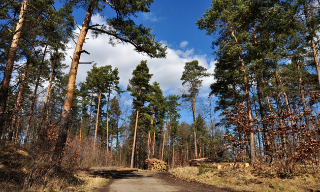 Обои картинки фото природа, дороги, простор