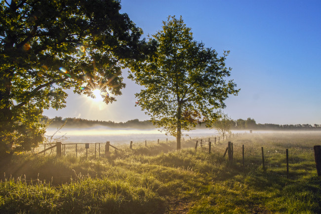 Обои картинки фото природа, восходы, закаты, простор