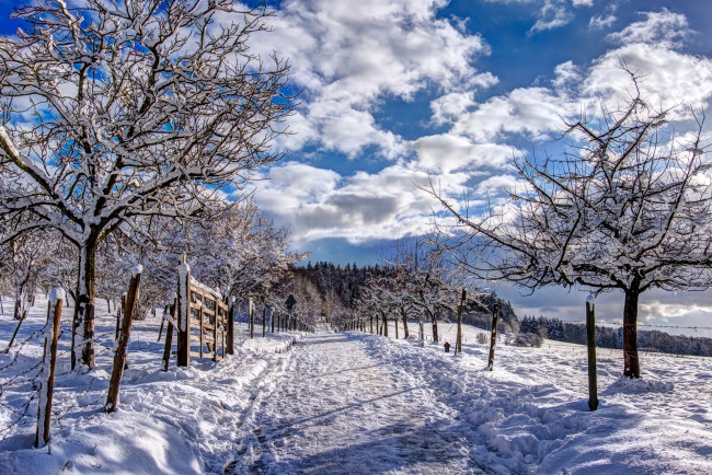 Обои картинки фото природа, зима, простор