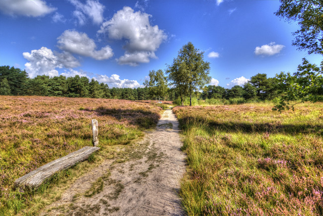 Обои картинки фото природа, дороги, простор