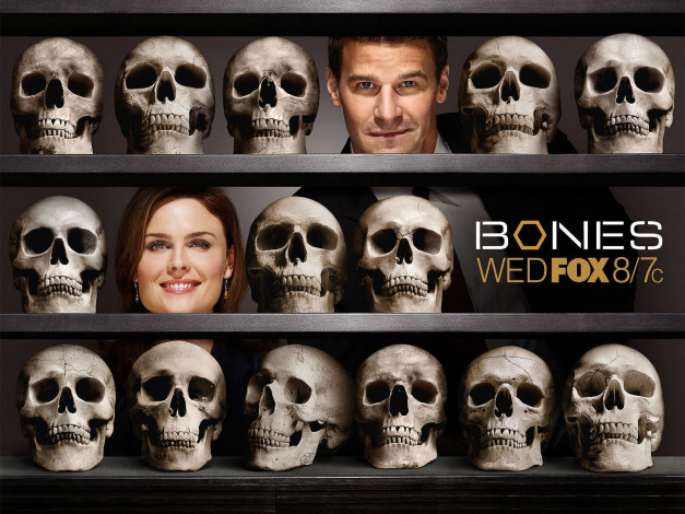 Обои картинки фото кино фильмы, bones, черепа, лица, полки