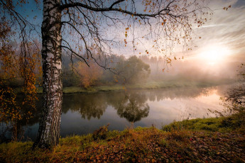 Картинка природа реки озера лес береза листья река осень туман