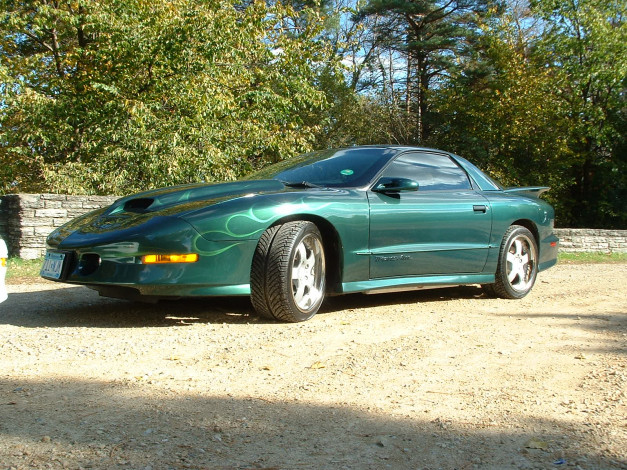 Обои картинки фото firebird, автомобили, pontiac