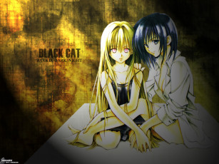 Картинка аниме black cat