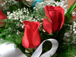 Картинка цветы разные вместе