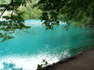 Картинка природа