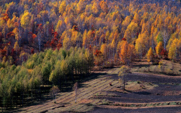 Картинка природа