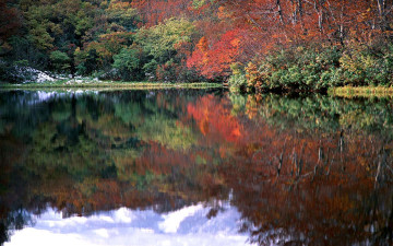 Картинка природа