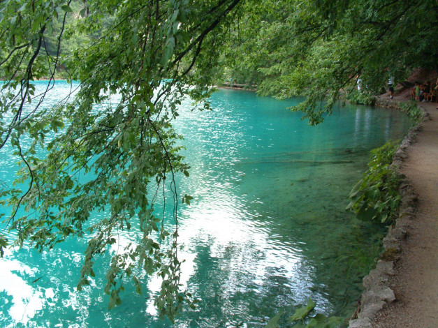 Обои картинки фото природа