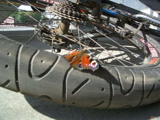 Обои картинки фото спорт, велоспорт