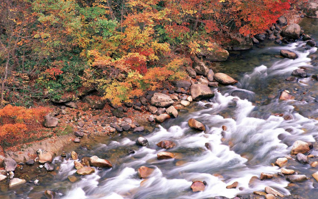 Обои картинки фото природа