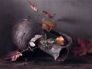 Картинка про розу октЯбре авт vldr цветы розы