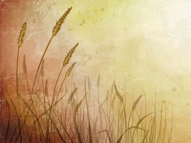 Обои картинки фото векторная, графика