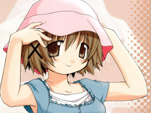 Картинка аниме hidamari sketch