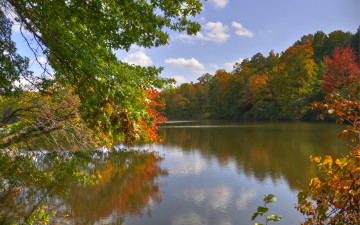 Картинка природа реки озера