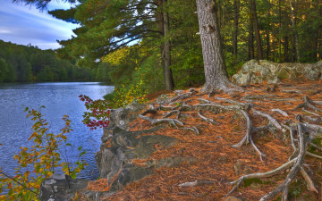 Картинка природа реки озера