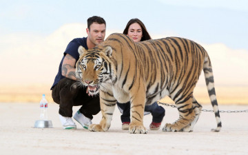 Картинка разное знаменитости