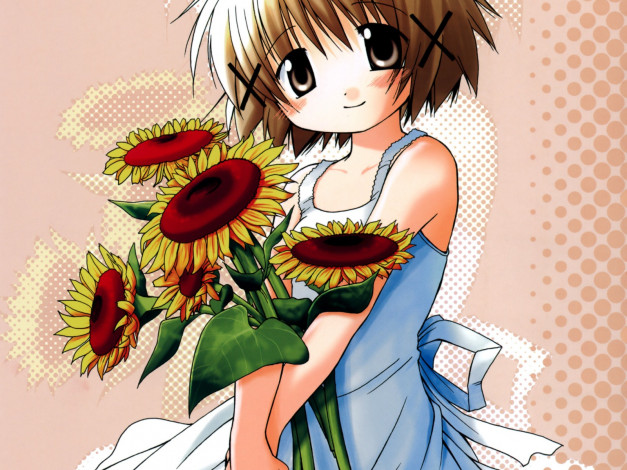 Обои картинки фото аниме, hidamari, sketch