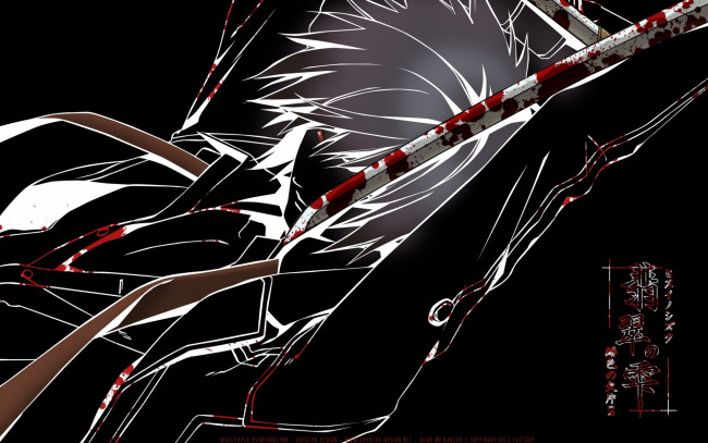 Обои картинки фото аниме, hiiro, no, kakera