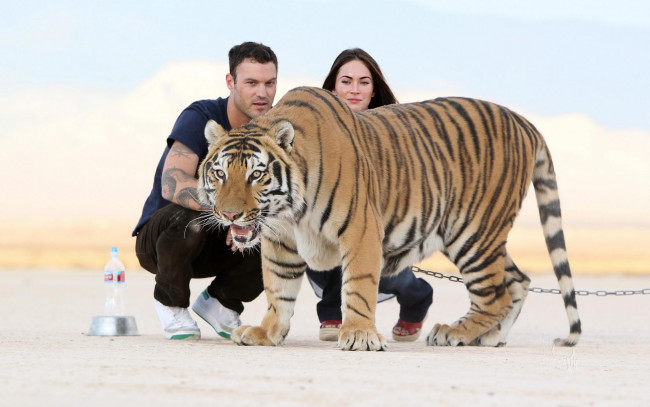 Обои картинки фото разное, знаменитости