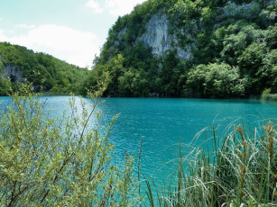 Картинка природа реки озера камыши вода скала деревья