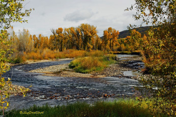 Картинка природа реки озера деревья вода