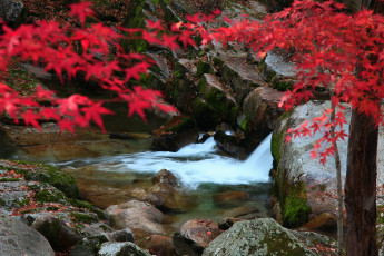 Картинка природа реки озера ручей камни