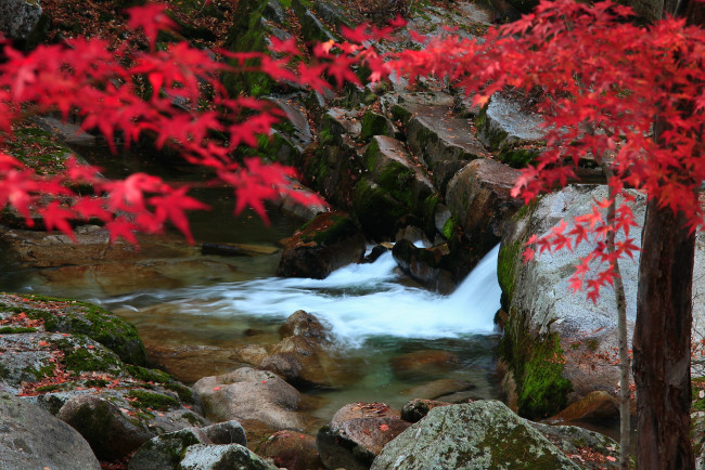 Обои картинки фото природа, реки, озера, ручей, камни